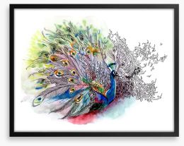 Peacock watercolour Framed Art Print 39228680