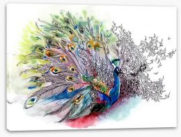 Peacock watercolour Stretched Canvas 39228680