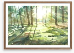 Forest of light I Framed Art Print 394959174