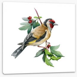 Birds Stretched Canvas 395052168