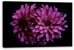 Flowers Stretched Canvas 396741513