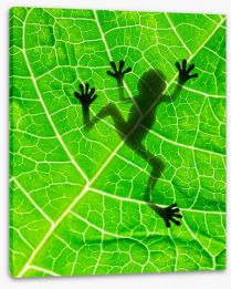 Frog on the leaf Stretched Canvas 39685232
