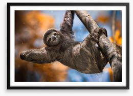 Mammals Framed Art Print 398085720