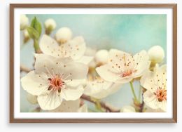 Cherry blossoms Framed Art Print 40136004