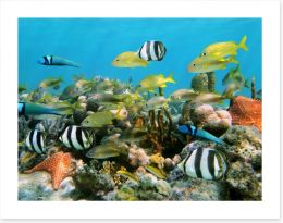 Underwater Art Print 40441780
