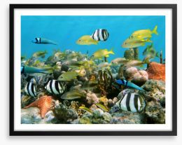 Underwater Framed Art Print 40441780