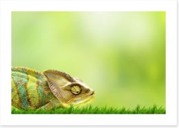 Chameleon crawl Art Print 40462949