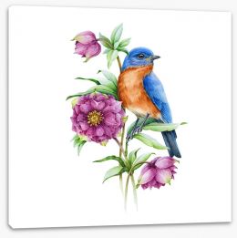 Birds Stretched Canvas 405809340