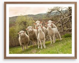 On pasture Framed Art Print 40754013