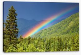 Rainbows Stretched Canvas 40783077