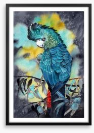 Moonlight cockatoo Framed Art Print 409229915