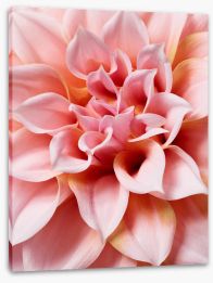 Flowers Stretched Canvas 411775822