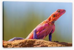 Reptiles Stretched Canvas 413063226
