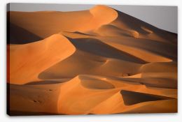 Desert Stretched Canvas 41484765