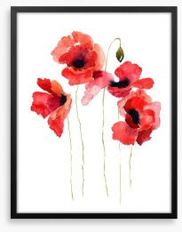 Poppies stripped bare Framed Art Print 41511336
