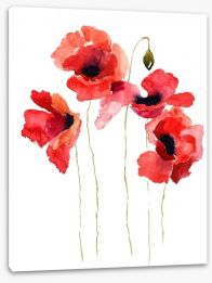 Poppies stripped bare Stretched Canvas 41511336