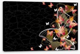 Butterflies Stretched Canvas 41778225