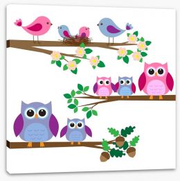 Owls and birds Stretched Canvas 41811265