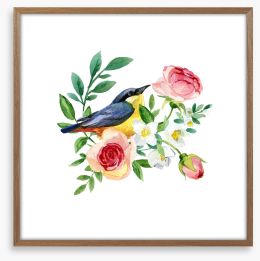 Birds Framed Art Print 418301131