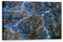 Trees Stretched Canvas 419360972