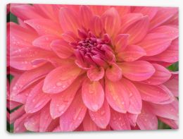 Flowers Stretched Canvas 420626510