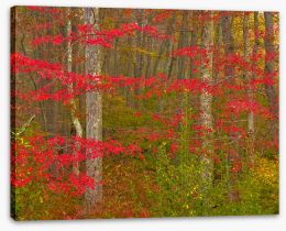 Autumn Stretched Canvas 420629803