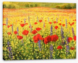 Sea of blossom Stretched Canvas 42534379