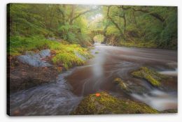 Rivers Stretched Canvas 425813780