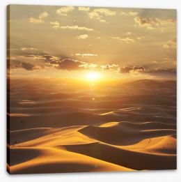 Desert Stretched Canvas 42617626