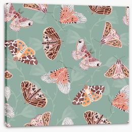 Butterflies Stretched Canvas 426271525