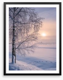Soft winter sunrise Framed Art Print 426586739