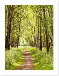 Forests Art Print 42683086