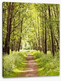 Forests Stretched Canvas 42683086