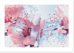 Flowers Art Print 428115292