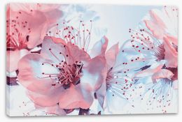 Flowers Stretched Canvas 428115292