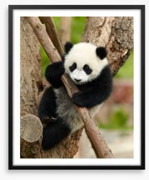 Hold on panda Framed Art Print 43324424