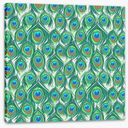 Peacock feathers Stretched Canvas 43639206