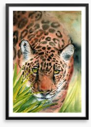 Animals Framed Art Print 438774110