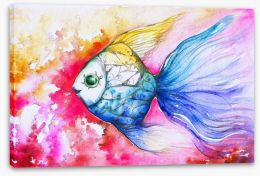Rainbow carp Stretched Canvas 44107717