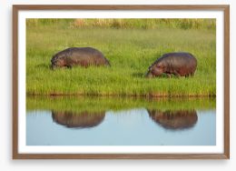 Hungry hippos Framed Art Print 442966865