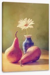 Still Life Stretched Canvas 443140066