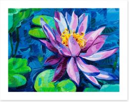 Water Lily Art Print 44331511