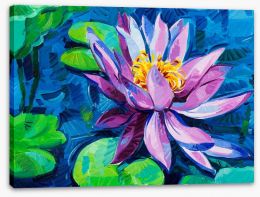 Water Lily Stretched Canvas 44331511