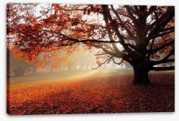 Alone in the Autumn park Stretched Canvas 44357137