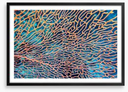 Pink sea fan Framed Art Print 445114468