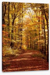 Autumn forest way Stretched Canvas 44681076