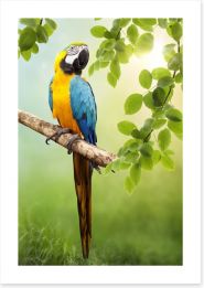 Amazon Macaw Art Print 44789481