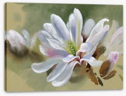 Majestic magnolia Stretched Canvas 45045660
