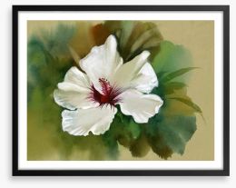 White hibiscus Framed Art Print 45045665