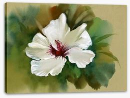 White hibiscus Stretched Canvas 45045665